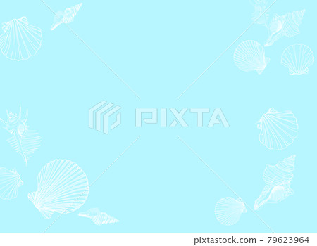 Seashell Seashell 79623964