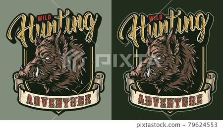 Vintage hunting colorful emblem Vintage hunting colorful emblem 79624553