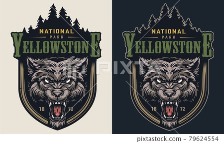 Colorful national park vintage logotype Colorful national park vintage logotype 79624554