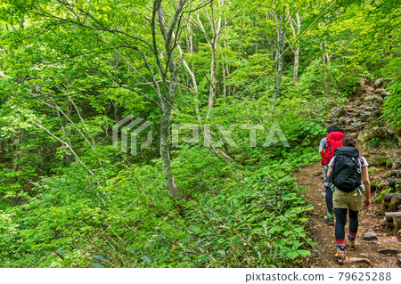 攀登新綠萬代山的登山者 79625288