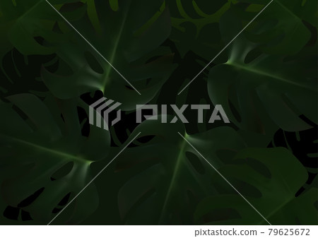 Dark Background with Tropical Leafs 79625672