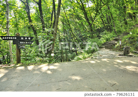 Oku Musashi no Mori Maruyama, Prefectural Forest Hiking Course 79626131