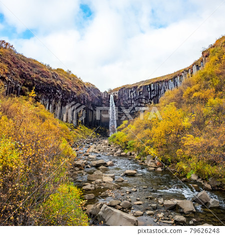 Svartifoss, famous Black waterfall, Iceland Skaftafel national park 79626248