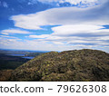 A large stone on the background of mountains with trees 79626308