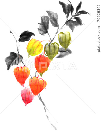 以水墨畫技法繪製的保月 79626342