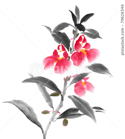 Impatiens balsam drawn with ink painting technique Impatiens balsam drawn with ink painting technique 79626349