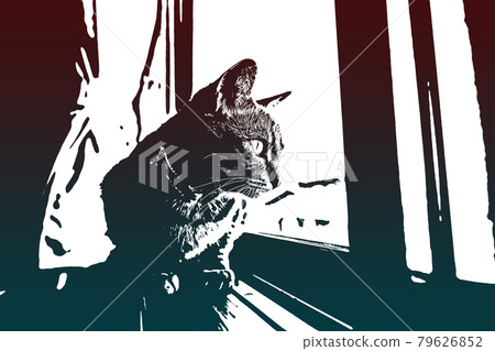 Cat Cat Cat Kijitora White Gray Kitten Female Female Female Cat Female Cat Female Cat Cheerful Cute Healing 79626852