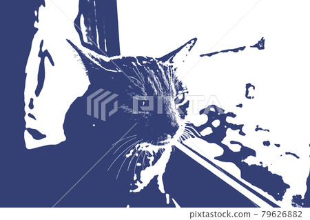 Cat Cat Cat Kijitora White Gray Kitten Female Female Female Cat Female Cat Female Cat Cheerful Cute Healing 79626882