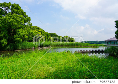 八日形公園（千葉縣習誌野市） 79627328