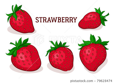 Strawberry Berries 79628474