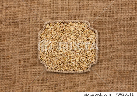Frame made of rope with a whole, ripe oat grain. With space for design, text place. 79629111