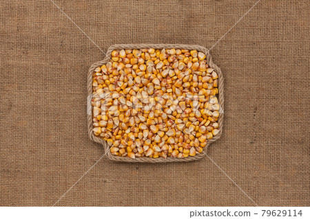 Frame made of rope with a whole, ripe corn grain. With space for design, text place. Frame made of rope with a whole, ripe corn grain. With space for design, text place. 79629114