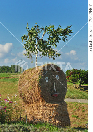 Scenery of Biei Hokkaido Scenery of Biei Hokkaido 79629467