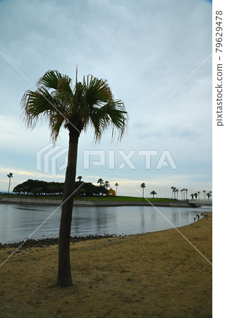 Tanoura Beach Tanoura Beach 79629478