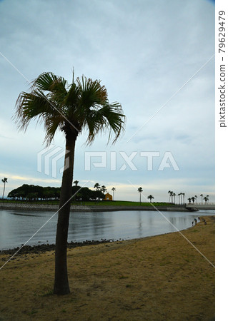 Tanoura Beach Tanoura Beach 79629479
