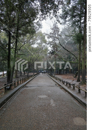奈良東大寺 奈良東大寺 79629505