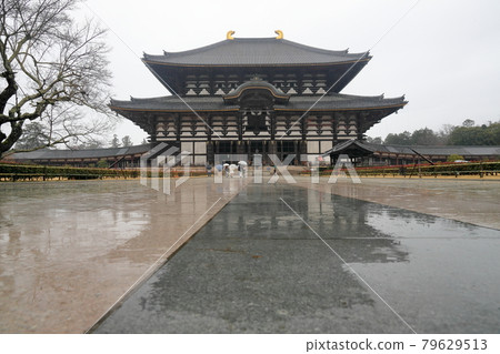 奈良東大寺 79629513