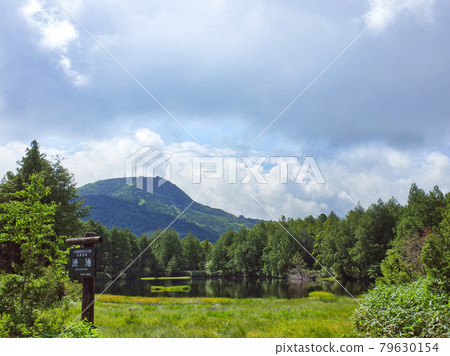 Shiga Kogen Shibuike 79630154