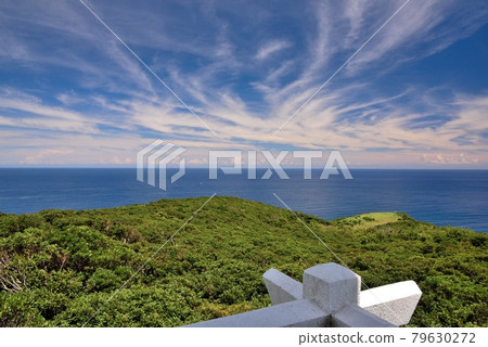 Amami Oshima: Gamouzaki Tourist Park in early summer Amami Oshima: Gamouzaki Tourist Park in early summer 79630272
