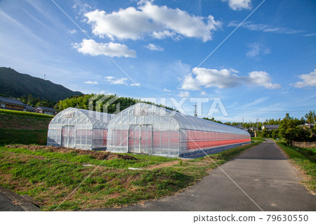 vinyl house  79630550