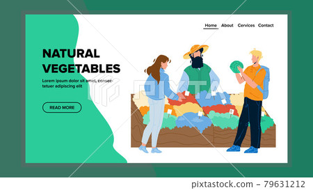 Natural Vegetables Selling Farmer Seller Vector flat 79631212