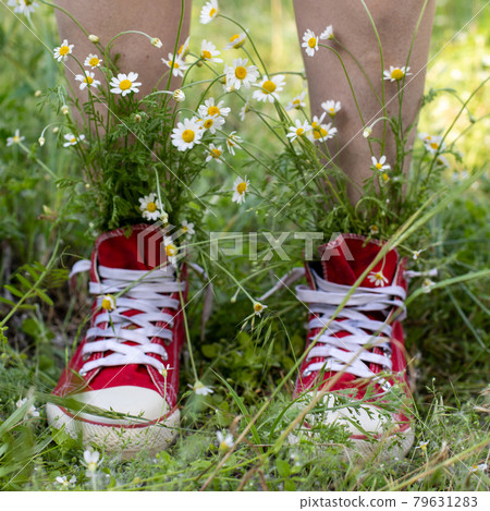 Naked legs in red sneakers with a bouquet of white camomiles in green grass Naked legs in red sneakers with a bouquet of white camomiles in green grass 79631283