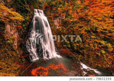 Bandokoro瀑布的秋葉 79631359
