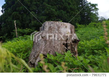 I'm empty I'm empty 79631771