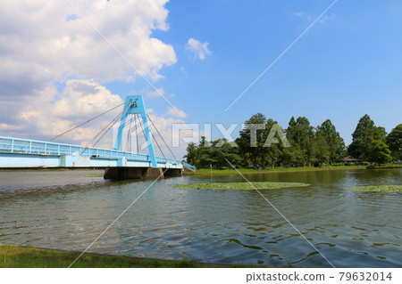 位於東京都葛飾區水本公園的水本大橋，僅供行人使用 79632014
