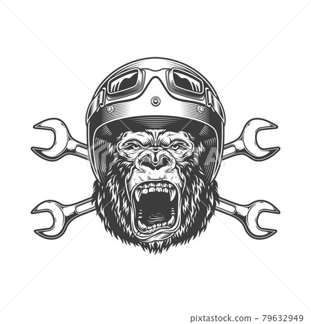 Ferocious gorilla head in moto helmet 79632949