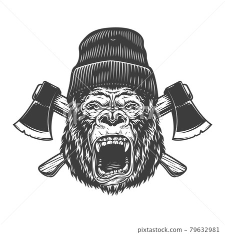 Angry gorilla head in lumberjack hat Angry gorilla head in lumberjack hat 79632981