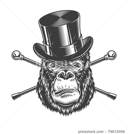 Serious gorilla head in cylinder hat Serious gorilla head in cylinder hat 79633006