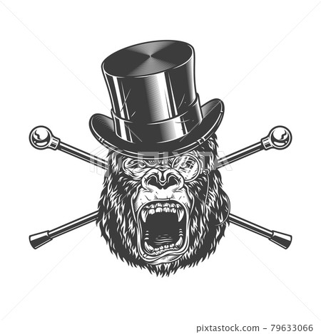 Ferocious gorilla head in cylinder hat 79633066