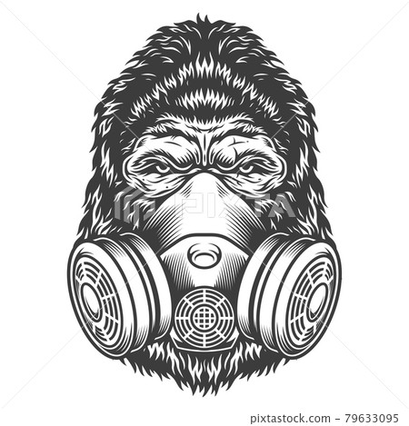 Vintage monochrome gorilla head 79633095