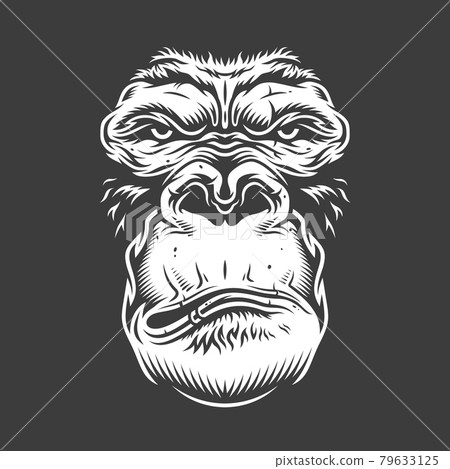 Face of gorilla isolated on white Face of gorilla isolated on white 79633125