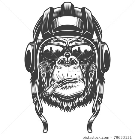 Gorilla head in monochrome style 79633131