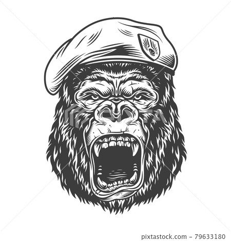 Angry gorilla in monochrome style Angry gorilla in monochrome style 79633180