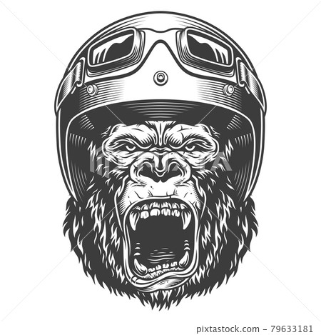 Angry gorilla in monochrome style 79633181