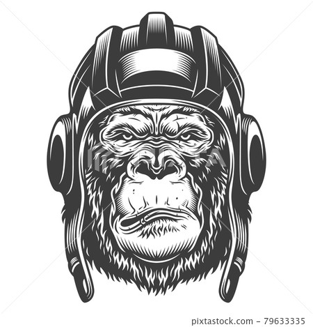 Serious gorilla in monochrome style 79633335