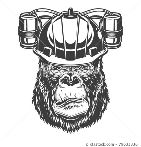 Serious gorilla in monochrome style Serious gorilla in monochrome style 79633336