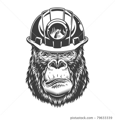 Serious gorilla in monochrome style 79633339