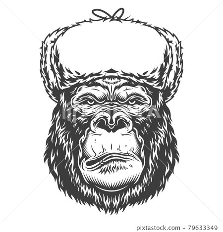 Serious gorilla in monochrome style Serious gorilla in monochrome style 79633349