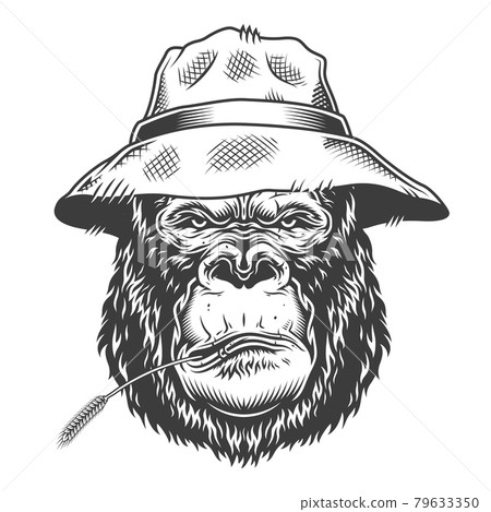 Serious gorilla in monochrome style Serious gorilla in monochrome style 79633350