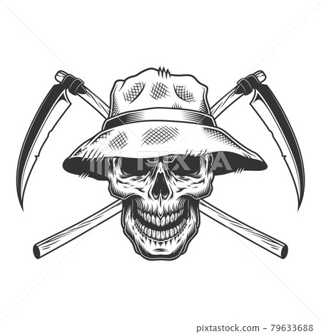 Vintage skull in panama hat Vintage skull in panama hat 79633688