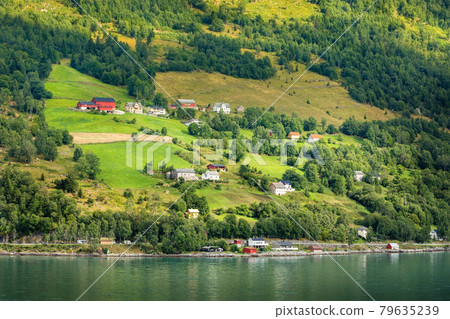 Norway fjord village summer landscape Norway fjord village summer landscape 79635239