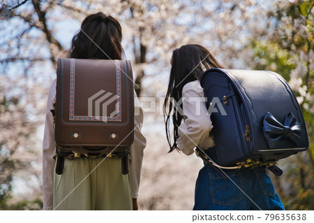 New first grader, going to and from school under the cherry blossoms 79635638