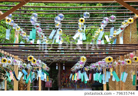 Kyoto Shojuin Summer Wind Chime Festival Kyoto Shojuin Summer Wind Chime Festival 79635744