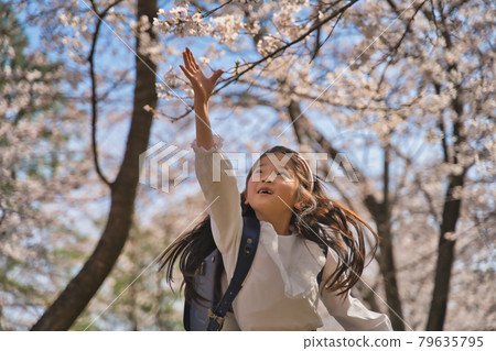 New first grader, going to and from school under the cherry tree 79635795