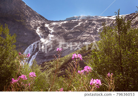 Briksdal glacier, waterfall in Norway, flowers Briksdal glacier, waterfall in Norway, flowers 79636053
