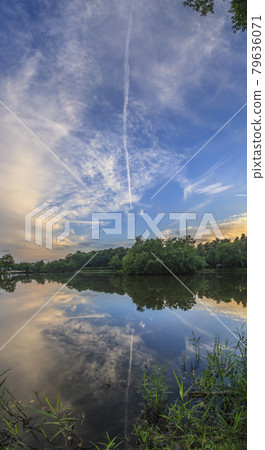 Peaceful scene from lovely small lake near Frankfurt in twillight Peaceful scene from lovely small lake near Frankfurt in twillight 79636071